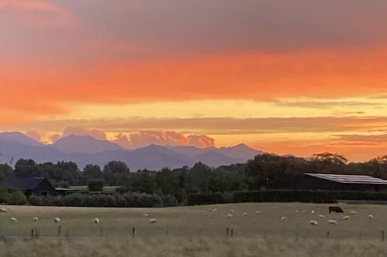 Natural Marlborough scenery surrounding Woodside Bed and Breakfast